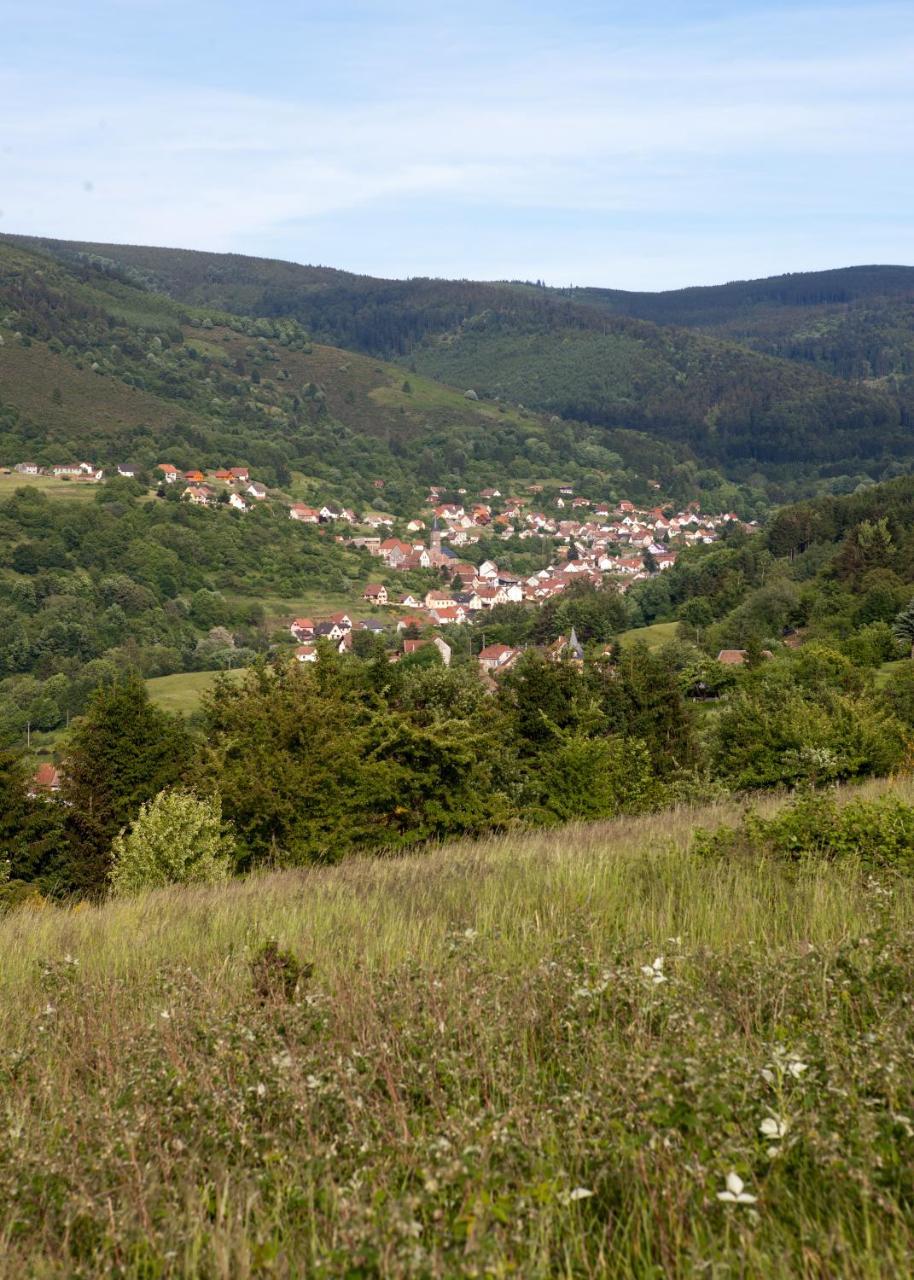 Hotel Restaurant Auberge Metzger Natzwiller Экстерьер фото